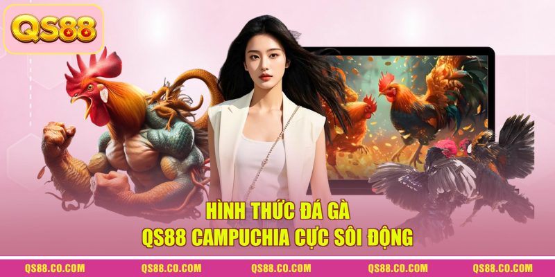 Hình thức đá gà QS88 Campuchia cực sôi động 