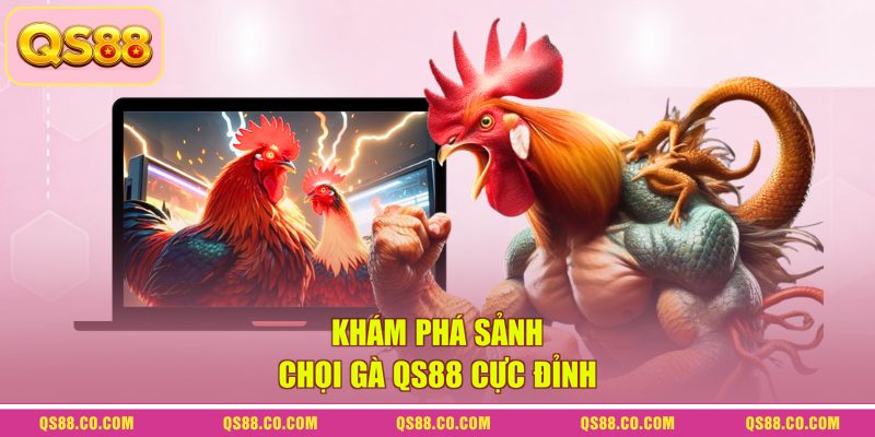 Khám phá sảnh chọi gà QS88 cực đỉnh 