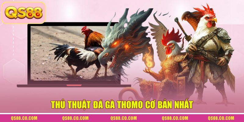 Thủ Thuật Đá Gà Thomo - Bí Kíp Chinh Phục Các Sàn Đấu 2 Thủ thuật đá gà Thomo cơ bản nhất