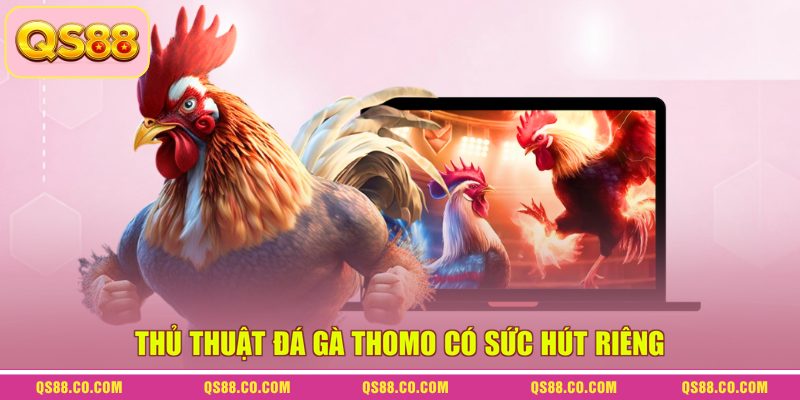 Thủ Thuật Đá Gà Thomo - Bí Kíp Chinh Phục Các Sàn Đấu 1 Thủ thuật đá gà Thomo có sức hút riêng