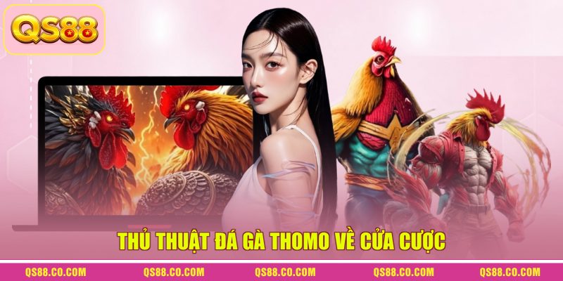 Thủ Thuật Đá Gà Thomo - Bí Kíp Chinh Phục Các Sàn Đấu 3 Thủ thuật đá gà Thomo về cửa cược