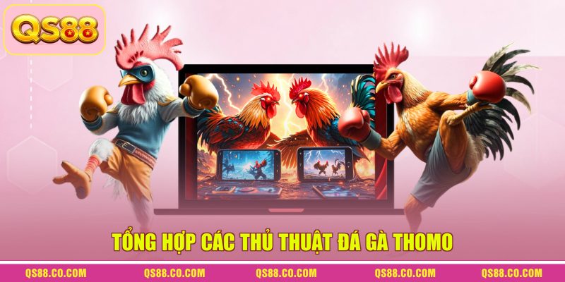 Thủ Thuật Đá Gà Thomo - Bí Kíp Chinh Phục Các Sàn Đấu 4 Tổng hợp các thủ thuật đá gà Thomo